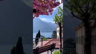 The Sleepy Town of Moltrasio Lake Como [upl. by Ylurt]