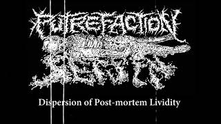 Putrefaction Sets In  Dispersion of Post​​mortem Lividity 2021  Goregrind [upl. by Aieki523]