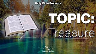 Daily Bible Precepts  Word Topic Treasure [upl. by Ecnal]