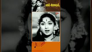 శీలవతీ నీగతీSheelavati Nee Gathi  Song Savitri Most emotional nartanasala shorts youtubeshorts [upl. by Redep]