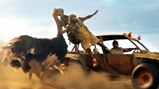 Jumanjis Weirdest Animal Scenes The Rock races an Ostrich 🌀 4K [upl. by Mixie980]