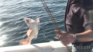 Snapper Fishing  December 2010 Wallaroo and Port Hughes [upl. by Ducan]