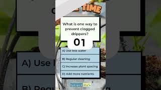 How to prevent clogged drippers hydroponicway hydroponics shorts quiz quiztime sustainable [upl. by Liamsi]