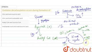 Oxidative decarboxylation occurs during formation of [upl. by Jac]