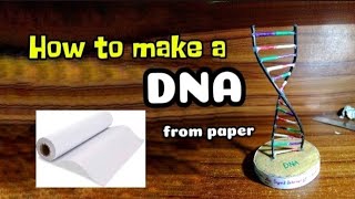 How To Make A DNA Model from paper dna [upl. by Hanschen713]