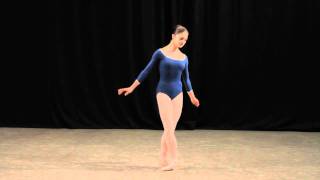 Insight Ballet Glossary  Arabesques [upl. by Manuela]