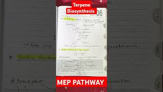 Biosynthesis of Five Carbon Unit of Terpene MEP Pathway Synthesis of Large Terpenes csirnet plant [upl. by Pigeon]