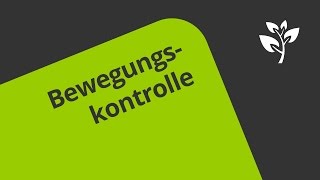 Prozess der Bewegungskontrolle  Biologie  Neurobiologie und Verhalten [upl. by Gleich]