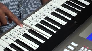 Pedave Palikina how to play on keyboard part 1 [upl. by Eniamraj190]