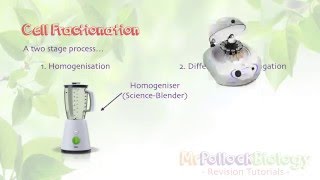 Cell Fractionation New AQA ASA Level [upl. by Atnes988]