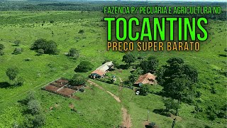 FAZENDA A VENDA NO TOCANTINS MUITO BARATA EM GOIATINSTO [upl. by Eitak]