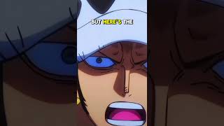 Trafalgar Law and the Secrets of the OpOp Fruit [upl. by Mason]