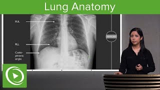 Lung Anatomy – Radiology  Lecturio [upl. by Sardse]