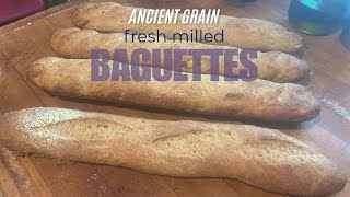 Ancient Grain Baguettes and How to Shape Them [upl. by Apfelstadt200]