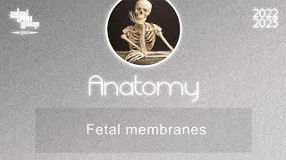 L 1617 part1  Fetal membranes  Embryology 89 [upl. by Rehpatsirhc523]