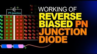 DIODE  WORKING OF REVERSE BIASED PN JUNCTION DIODE [upl. by Raskin]