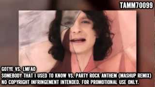 Gotye vs LMFAO  Somebody That I Used To Know vs Party Rock Anthem Mashup Remix [upl. by Solita]