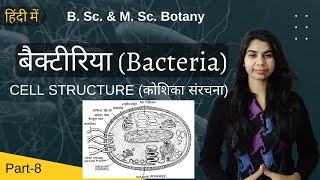 Bacteria in Hindi बैक्टीरिया हिंदी में  CELL STRUCTURE कोशिका संरचना  Botany [upl. by Nyra]