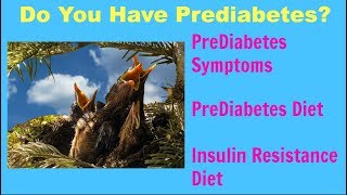 Do You Have Pre Diabetes PreDiabetes Symptoms  Reversing PreDiabetes Prediabetes Diet [upl. by Greenes292]