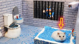 🐹Hamster Escapes the Awesome 5Star Luxury Prison Maze with Bathtub🐹 for Pets in real life [upl. by Sikata560]