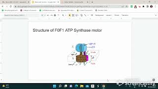 F0F1 ATP Synthase Molecular MotorBiology For Engineersoxysomes [upl. by Waldron861]