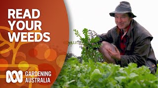 Read your weeds  Gardening 101  Gardening Australia [upl. by Oruntha]