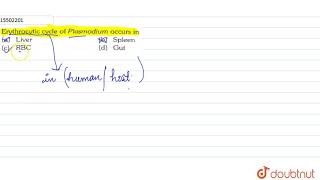 Erythrocytic cycle of Plasmodium ocuurs in [upl. by Cannon325]