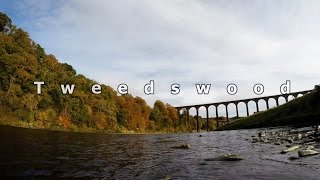 Salmon Fishing Tweedswood Beat on the River Tweed [upl. by Aerdied626]