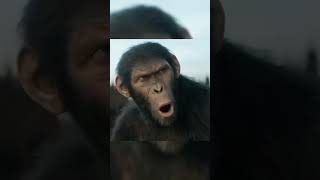 Kingdom of the Planet of the Apes l Chaos in the JungleA Girl vsan Army of Apes l Official Trailer [upl. by Neal946]