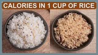 What is the number of Calories in 1 Cup of RICE [upl. by Melliw]