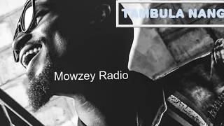 Radio amp Weasel  Tambula Nange  Audio [upl. by Atiz]