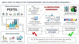 En quoi la Gestion prévisionnelle des emplois et des compétences estelle utile aux organisations [upl. by Nniroc]