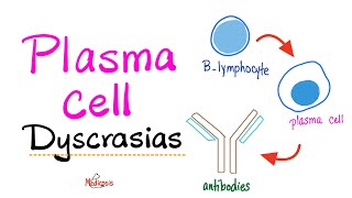 Multiple Myeloma Waldenström macroglobulinemia MGUS MGRS  Plasma Cell Dyscrasias  Introduction [upl. by Nylirahs567]