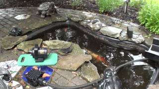 Beckett W3500 waterfall pump in a 120 gallon pond [upl. by Brawner545]