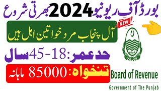 Board of revenue Punjab jobs 2024  Jobs in Pakistan 2024 New jobs 2024 [upl. by Lebazi]