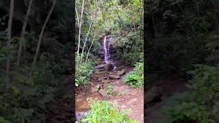 Cachoeira travel musicanatureza nature [upl. by Ecnadnak620]