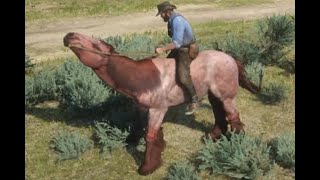 RDR2Arthur Gets Strawberry Ardennes Horse Early Example2 Passerbys Situation [upl. by Ydoc493]