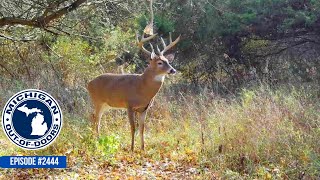 Bow Hunting Gun Hunting Bragging Board Michigan Out of Doors TV 2444 [upl. by Allison]