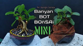 Soil Change My Bonsai Banyan mini  Ficus Banglensis  Bot bonsai mini [upl. by Nnylyrehc]