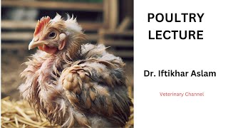 Coccidiosis in Poultry Understanding and Preventing this Deadly Disease [upl. by Cully]