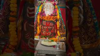 Daily darshan ujjain mahakaleshwar jyotirling❤️ trendingshortshindupilgrimage hindupilgrimage [upl. by Imar]