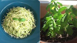 PESTO SOS TARİFİ VE PESTO SOSLU SPAGETTİ YAPIMI✅💯 [upl. by Ayiotal]