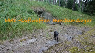 Spähtrupp Paula 🐾  Zur Luftwaffen  Muna 🌲 💥 [upl. by Aliwt]