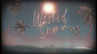 Wasted Summers  juju Visualizer [upl. by Htyderem]