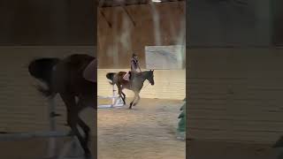 Just a small jump💕 equestrian horses horserider  horse horseriding [upl. by Pitzer]