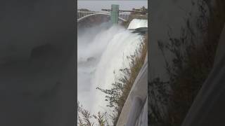 Mother 2 children dead in Niagara Falls shorts shortsvideo [upl. by Iver]