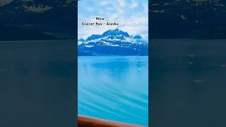 An incredible way to experience Glacier Bay cruise shorts [upl. by Evangelia]