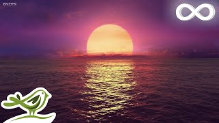 8 Hours of Relaxing Sleep Music Ocean Waves Relaxing Music Sleeping Music Calming Music ★146 [upl. by Mavis]