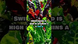 Top 5 Leafy Greens Vegetables Must Eat shorts [upl. by Laws415]