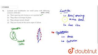 Lenticels and hydathodes are small pores with following common attributes [upl. by Eyak]